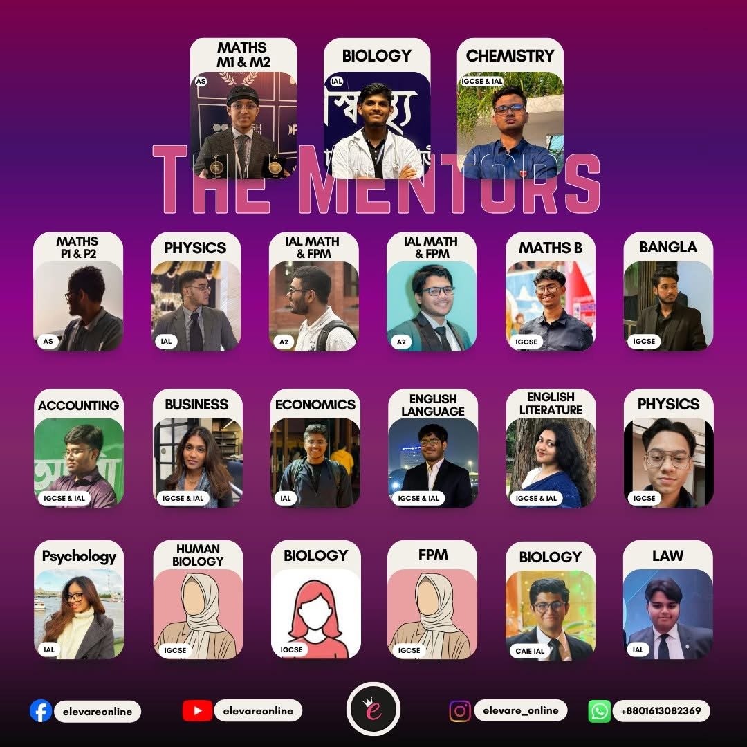 The Mentors
