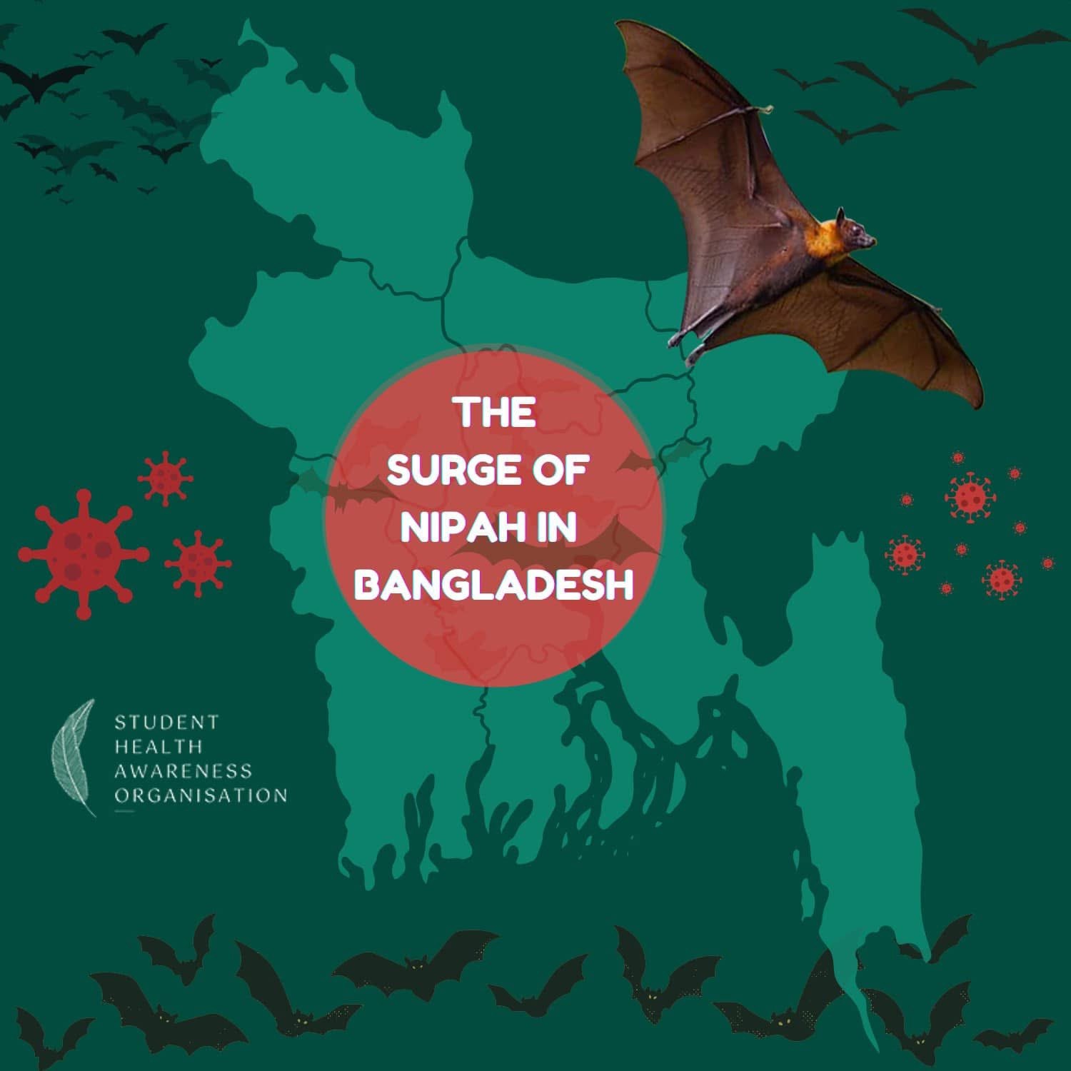 Nipah Virus Map